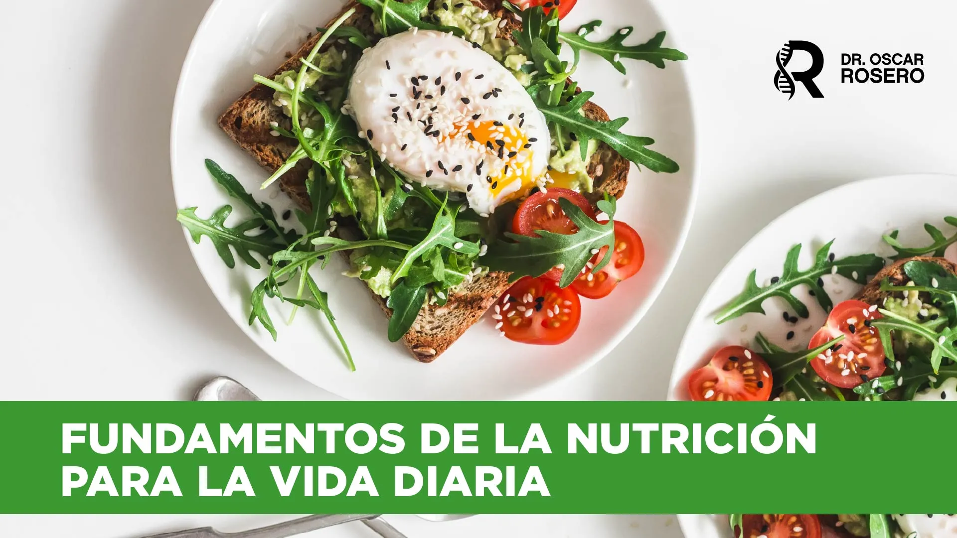Fundamentos de la nutrición